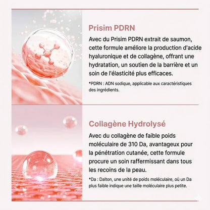 NovaPro® Éclat PDRN Collagène Masque